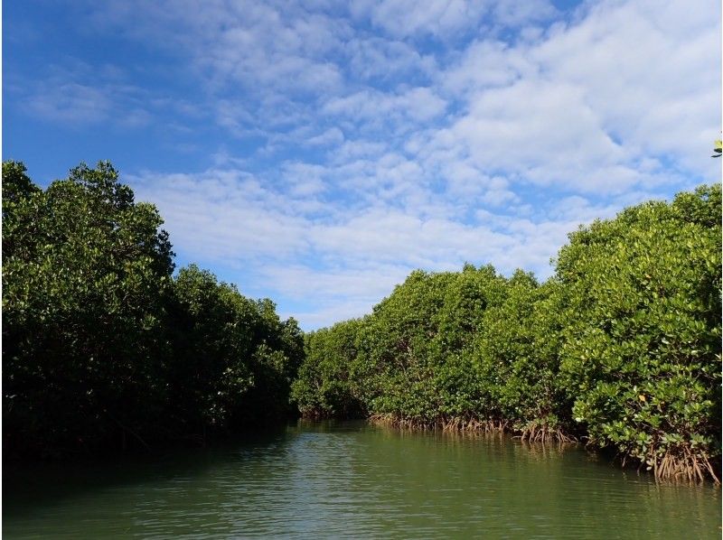縄文トライブス　宮古島 のギャラリー