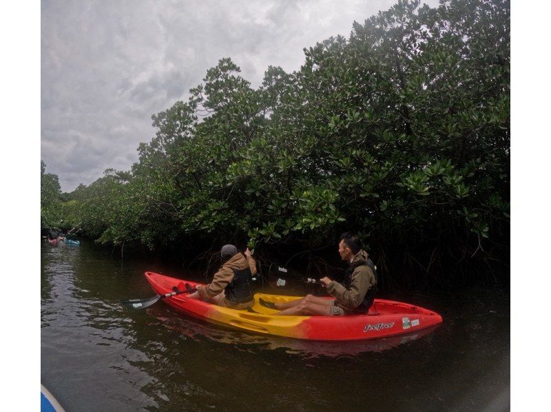 西表島 ADVENTURE PiPi（ピピ） のギャラリー
