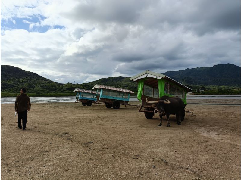 西表島 ADVENTURE PiPi（ピピ） のギャラリー