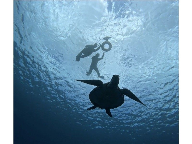 RUANOA 石垣島 のギャラリー