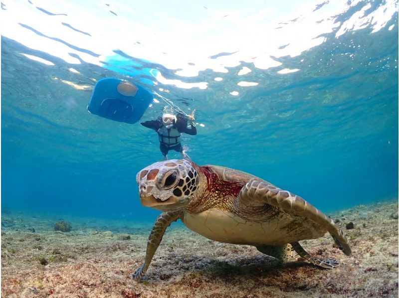 nico 宮古島 のギャラリー