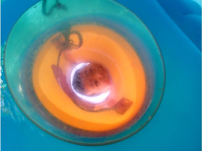 nico 宮古島 のギャラリー