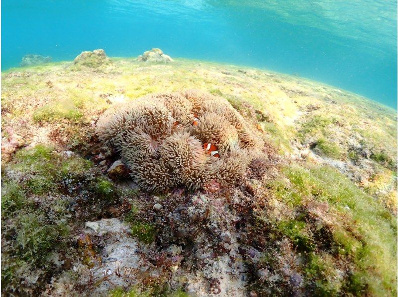 nico 宮古島 のギャラリー