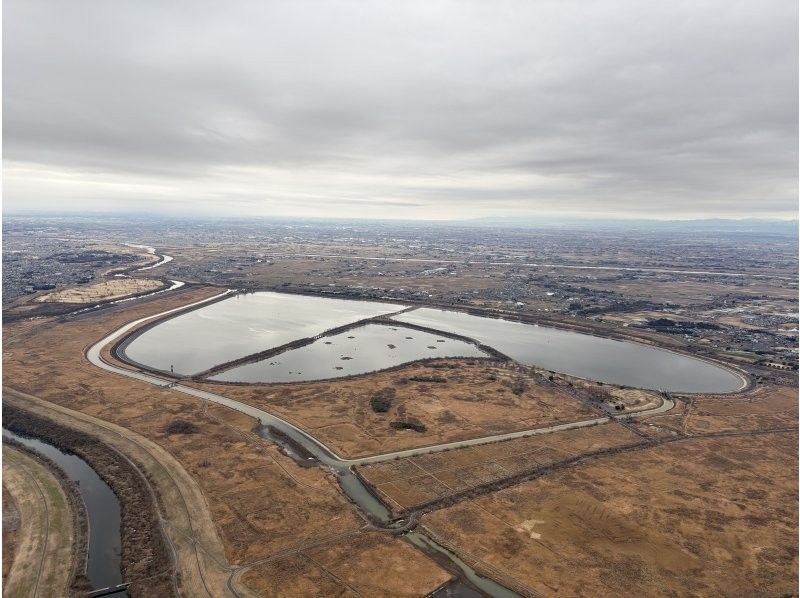 ウイニングバルーンクラブ のギャラリー
