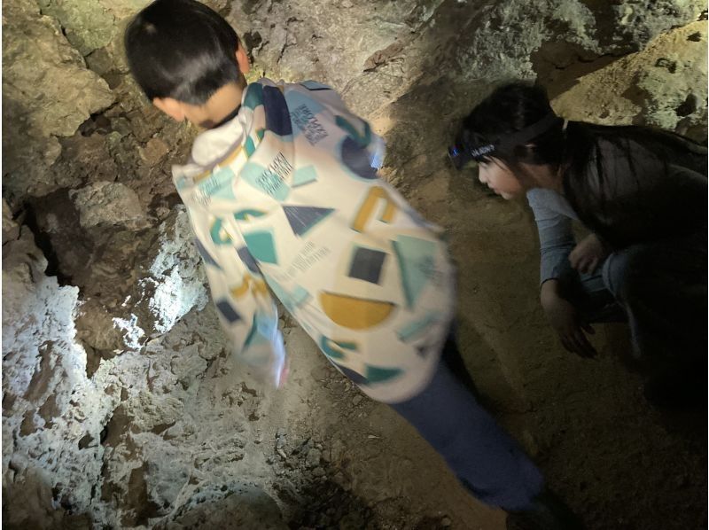 NATURE SHOP PAO のギャラリー