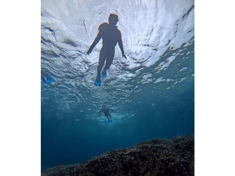 石垣島  ADVENTURE PiPi（ピピ） のギャラリー