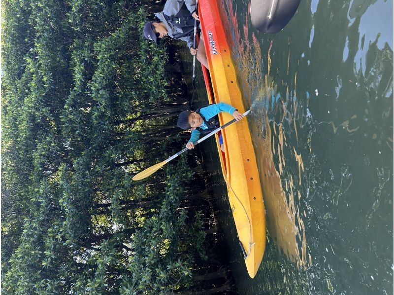 Nilaina Holidays のギャラリー