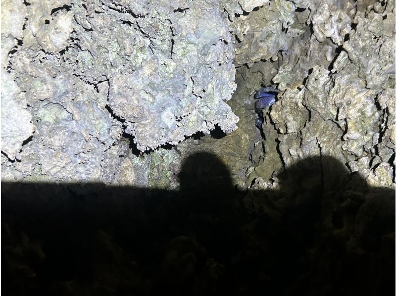 スターライフ石垣島 のギャラリー