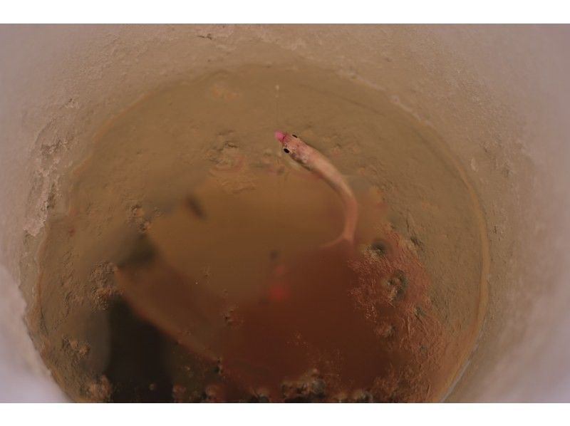 Raft&Crew Outdoor Company. のギャラリー