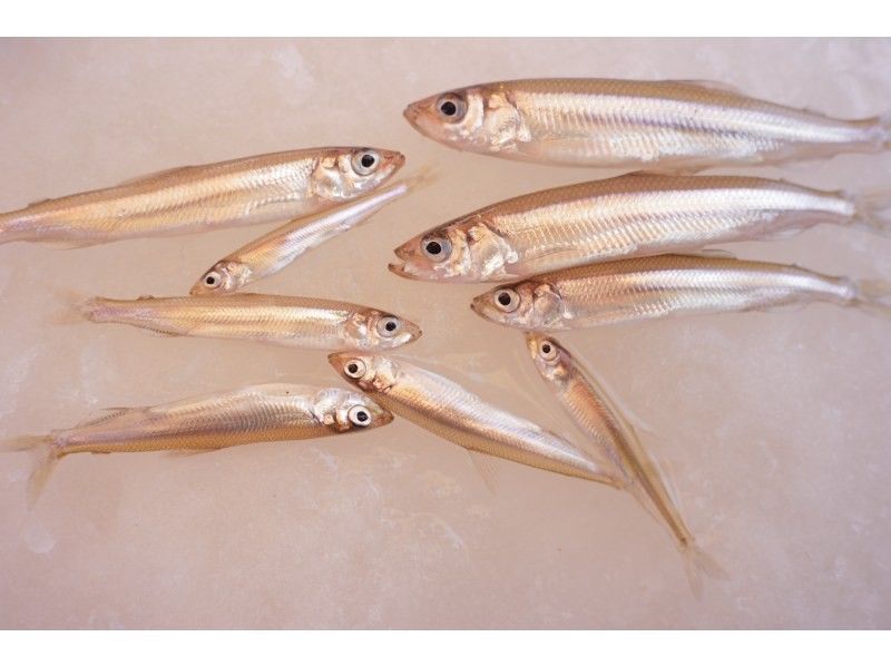 Raft&Crew Outdoor Company. のギャラリー