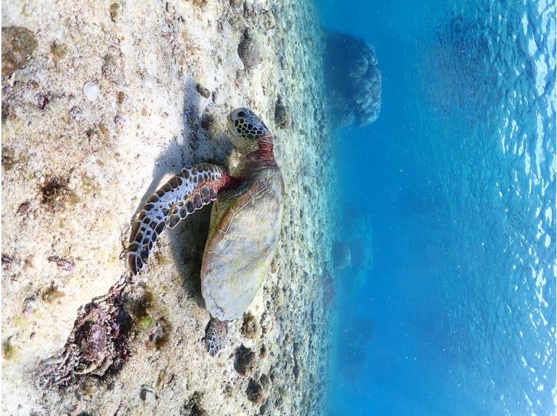 Nami宮古島 のギャラリー