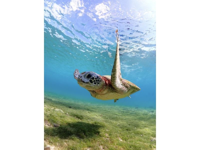 Nami宮古島 のギャラリー