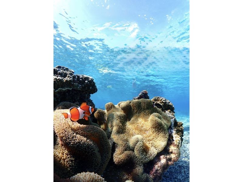 Nami宮古島 のギャラリー