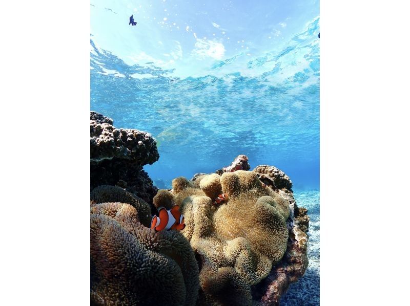 Nami宮古島 のギャラリー