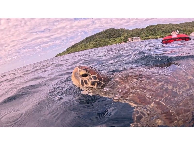 マリンショップしまじかん のギャラリー