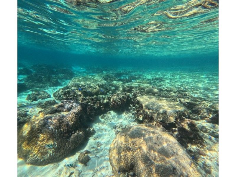 沖縄ダイビング20(Diving20) のギャラリー