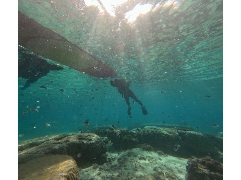 沖縄ダイビング20(Diving20) のギャラリー