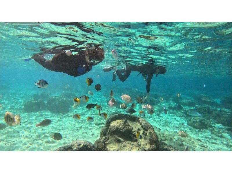 沖縄ダイビング20(Diving20) のギャラリー