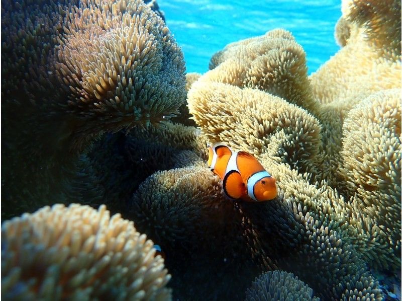 宮古島 ADVENTURE PiPi（ピピ） のギャラリー