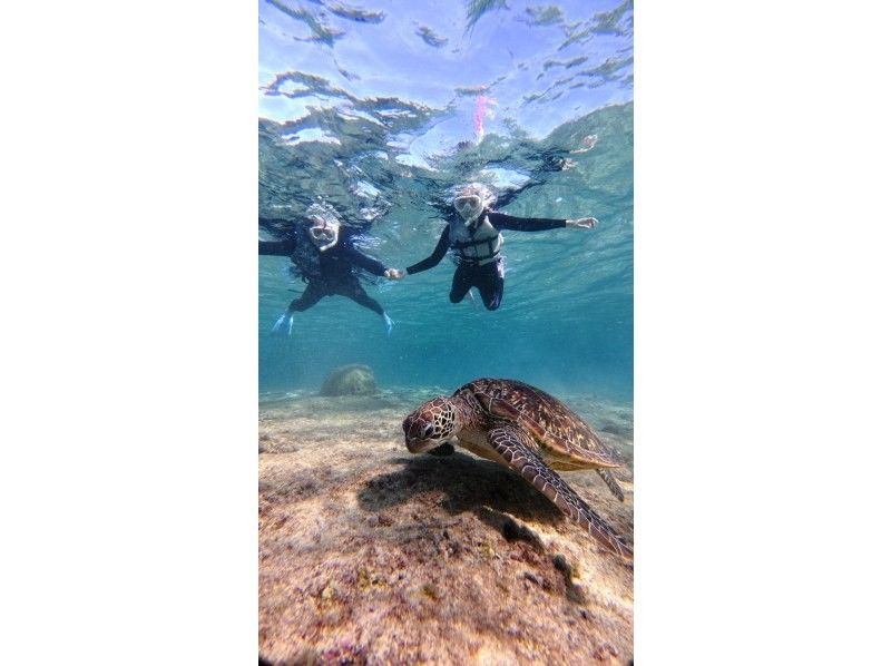 nico 宮古島 のギャラリー