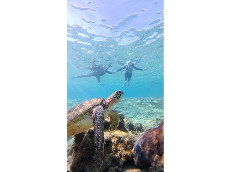 nico 宮古島 のギャラリー