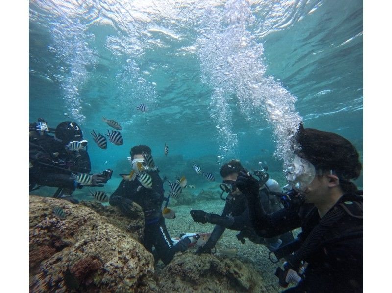 武藤潜水 のギャラリー