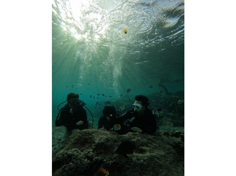 武藤潜水 のギャラリー