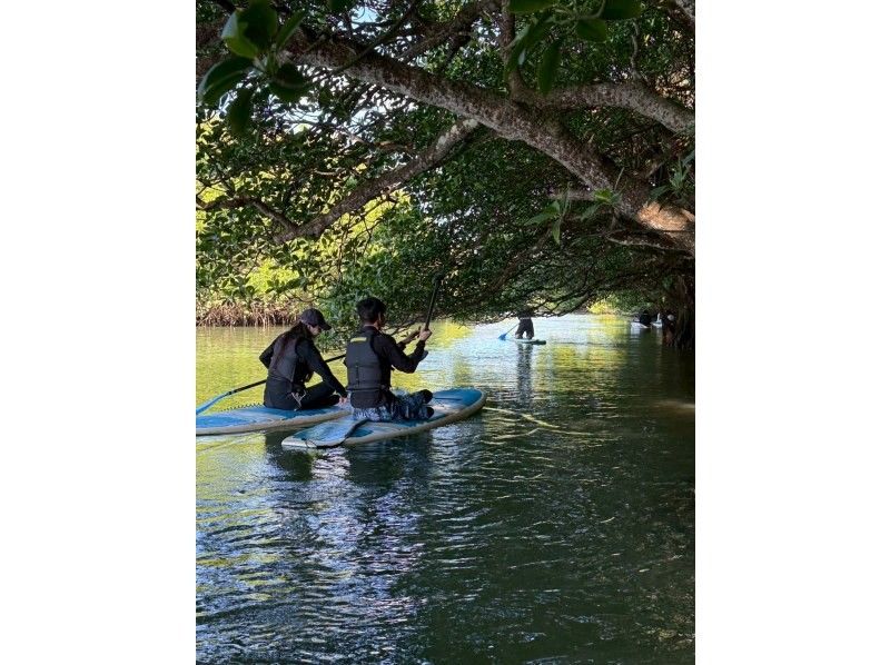 石垣島  ADVENTURE PiPi（ピピ） のギャラリー