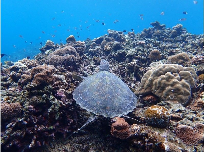 3 piece のギャラリー