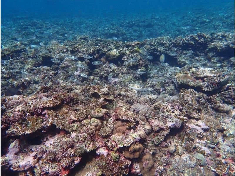 3 piece のギャラリー