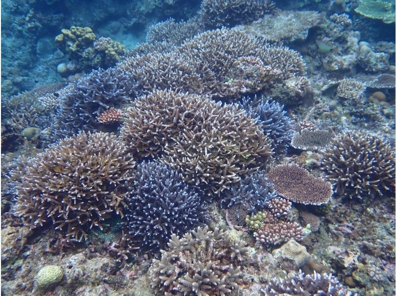 3 piece のギャラリー