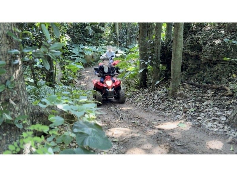 BuggyParadise のギャラリー