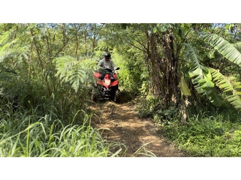 BuggyParadise のギャラリー