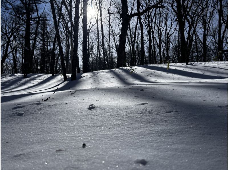 株式会社日光自然博物館 のギャラリー