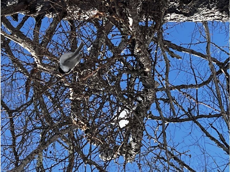 株式会社日光自然博物館 のギャラリー