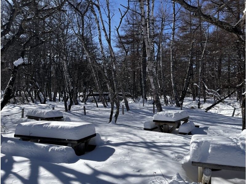 株式会社日光自然博物館 のギャラリー