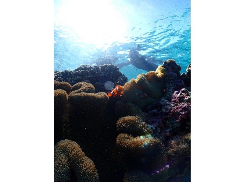 宮古島 ADVENTURE PiPi（ピピ） のギャラリー