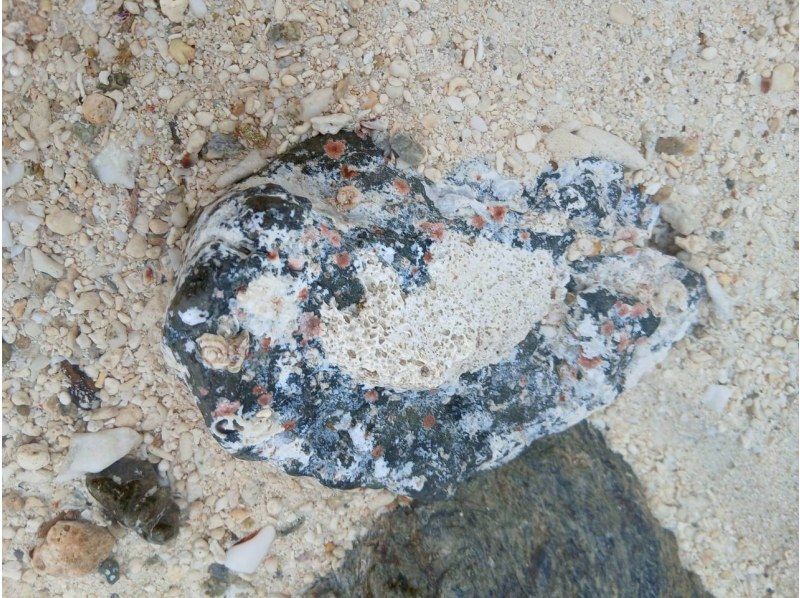 3 piece のギャラリー