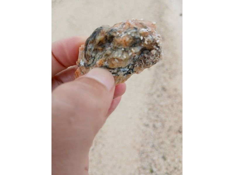 3 piece のギャラリー