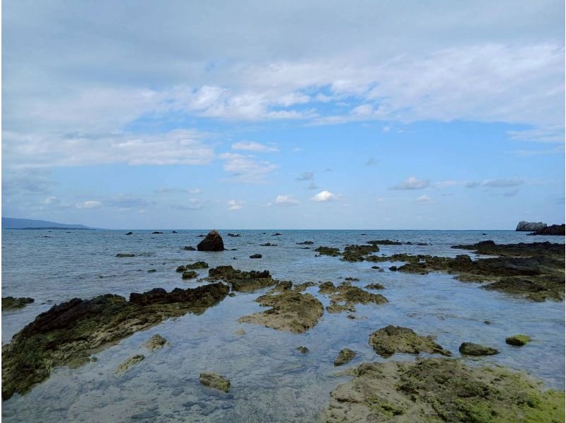 3 piece のギャラリー