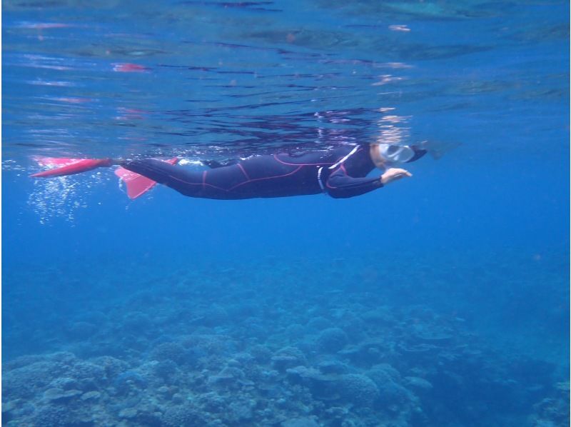 3 piece のギャラリー