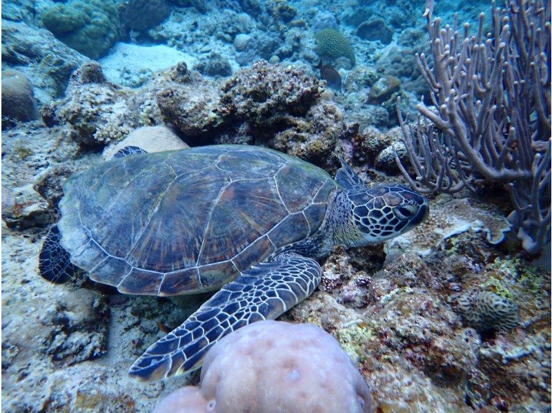 3 piece のギャラリー