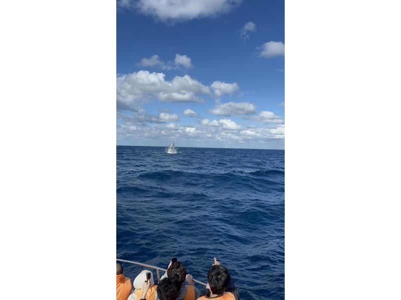 マリンクラブ ベリー那覇店 のギャラリー