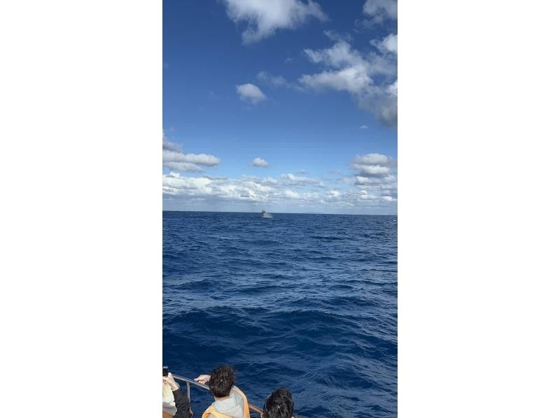 マリンクラブ ベリー那覇店 のギャラリー