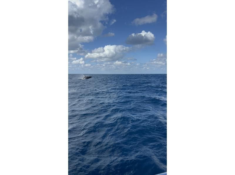 マリンクラブ ベリー那覇店 のギャラリー