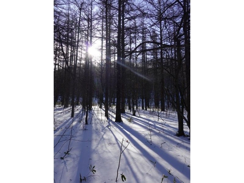 株式会社日光自然博物館 のギャラリー