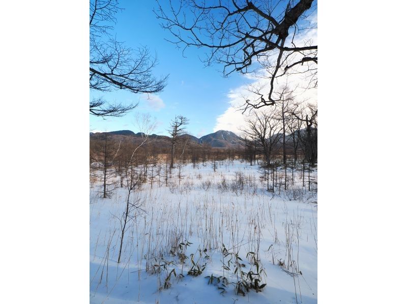 株式会社日光自然博物館 のギャラリー