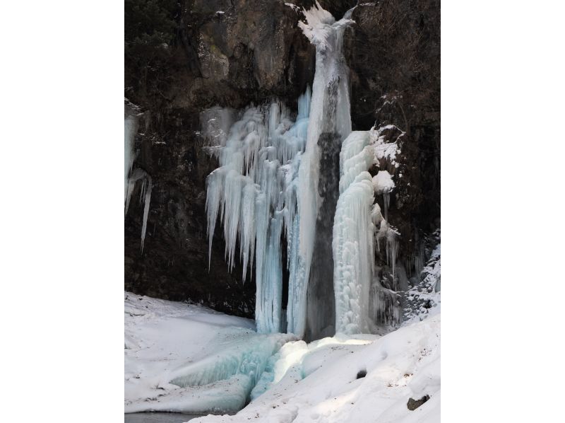 株式会社日光自然博物館 のギャラリー