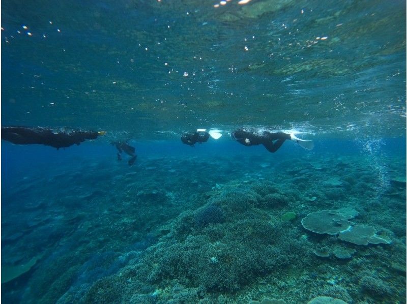 Marlin宮古島 のギャラリー