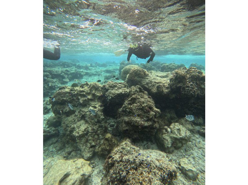 沖縄ダイビングショップシーモール のギャラリー